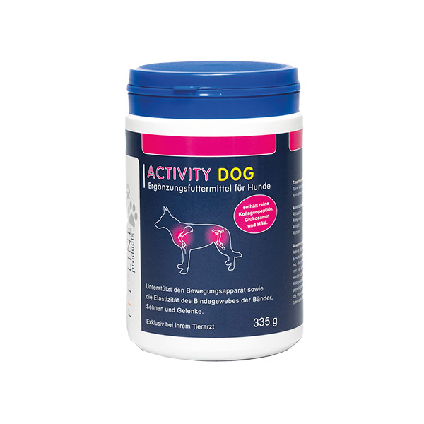 Activity Dog